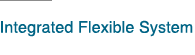 Integrated Flexible System